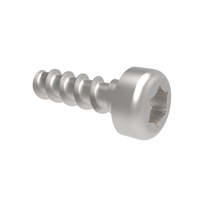 Screw M3X8 DIN 7991, Type for plastic (Pack of 30), ref. 023877